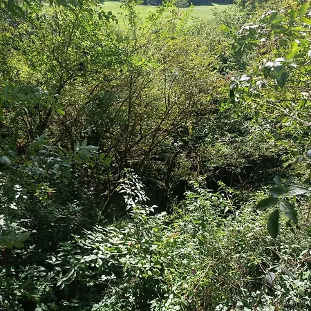 Сasa de vacaciones El Mirador Del Rio